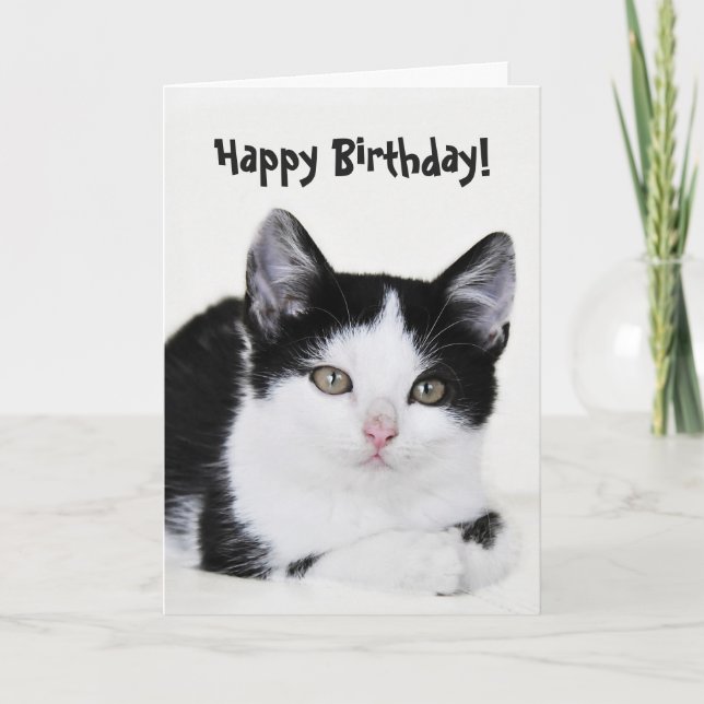 Tarjeta de felicitación a gatito blanco y negro (Anverso)