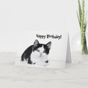 Tarjeta de felicitación a gatito blanco y negro