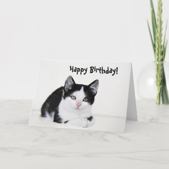 Tarjeta de felicitación a gatito blanco y negro (Anverso)