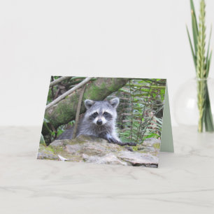 Tarjeta de felicitación Adorable Peek-A-Boo Raccoo