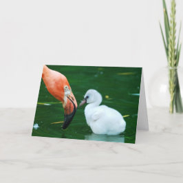 Tarjeta de felicitación adulta del flamenco y del