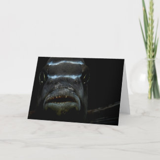 Tarjeta de felicitación africana del Cichlid