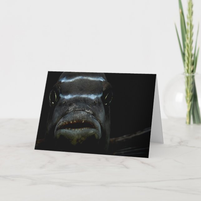 Tarjeta de felicitación africana del Cichlid (Anverso)