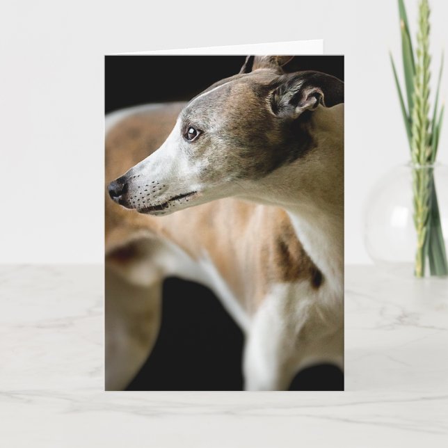 Tarjeta de felicitación al perro de Greyhound (Anverso)