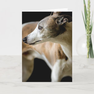 Tarjeta de felicitación al perro de Greyhound