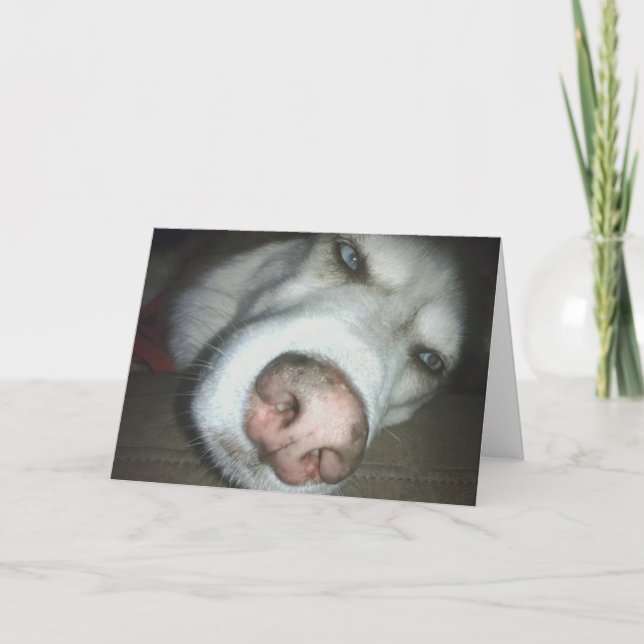 Tarjeta de felicitación al perro Husky para el cum (Anverso)