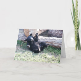 Tarjeta de felicitación Alaska Black Bear Cub