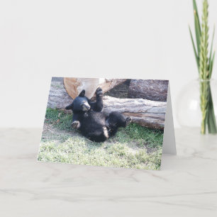 Tarjeta de felicitación Alaska Black Bear Cub