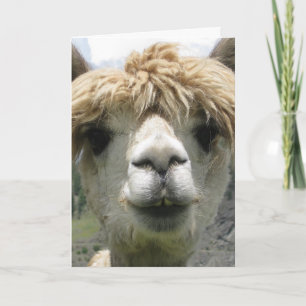 TARJETA DE FELICITACIÓN ALPACA EN BLANCO