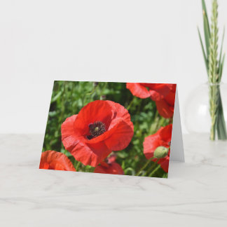 Tarjeta de felicitación - amapolas rojas