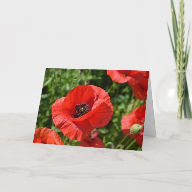 Tarjeta de felicitación - amapolas rojas (Anverso)