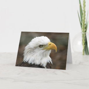 Tarjeta de felicitación americana de Eagle calvo 2