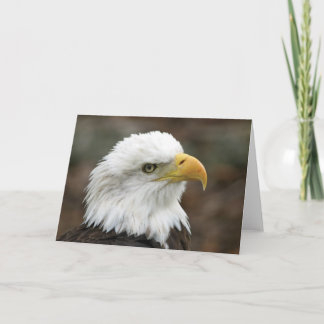 Tarjeta de felicitación americana de Eagle calvo 2