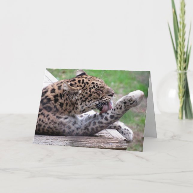 Tarjeta de felicitación Amur Leopard (Anverso)