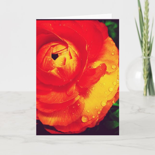 Tarjeta de felicitación anaranjada ardiente del (Anverso)