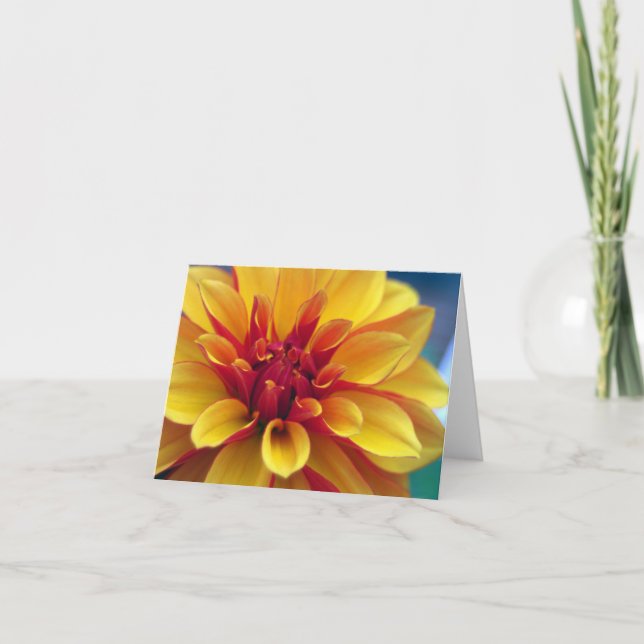 Tarjeta de felicitación anaranjada de la dalia (Anverso)