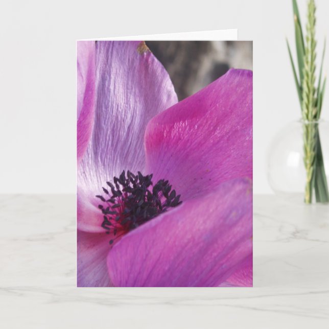 Tarjeta de felicitación Anemone Closeup (Anverso)