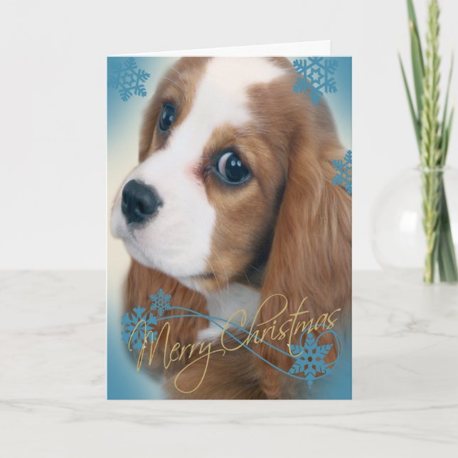 Tarjeta de felicitación arrogante de rey Charles (Anverso)