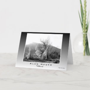 Tarjeta de felicitación ART WEST - "Wildwood"