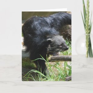 Tarjeta de felicitación asiática del binturong