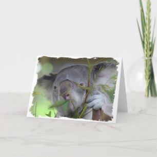 Tarjeta de felicitación australiana de la koala