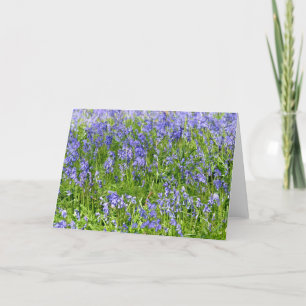 Tarjeta de felicitación azul de Belces