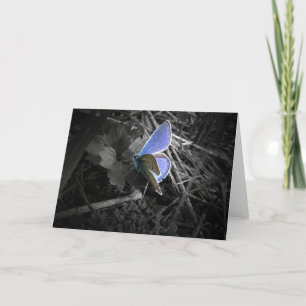 tarjeta de felicitación azul de la mariposa