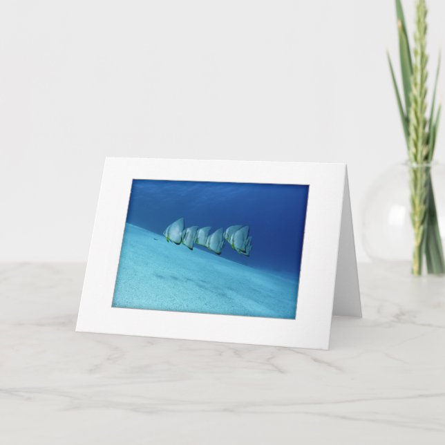 Tarjeta de felicitación azul del Batfish (Anverso)