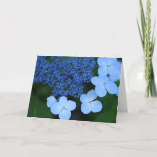 Tarjeta de felicitación azul del cordón