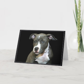 Tarjeta de felicitación azul del perrito de