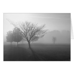 Tarjeta de felicitación B&W Foggy Morning Sunrise