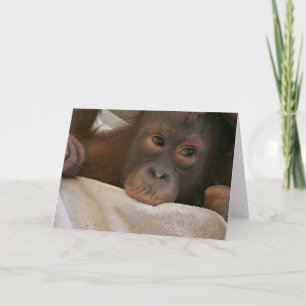 Tarjeta de felicitación Baby Chimp