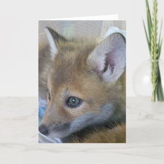 Tarjeta de felicitación Baby Fox