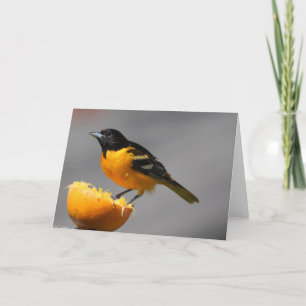 Tarjeta de felicitación Baltimore Oriole