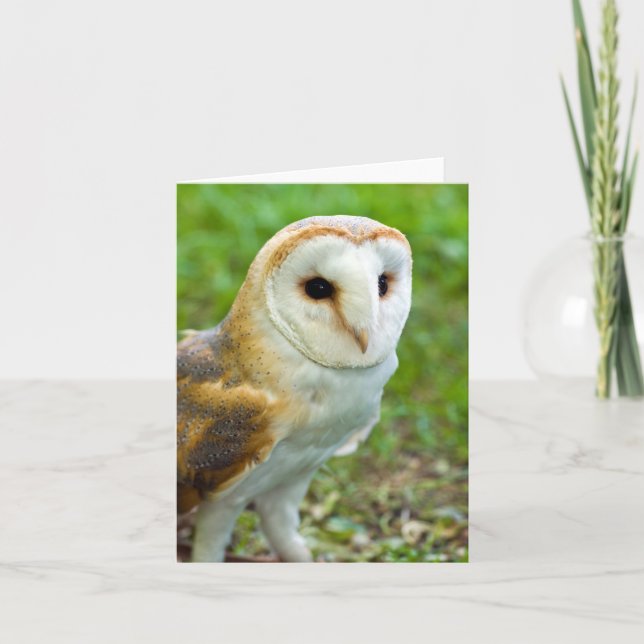 Tarjeta de felicitación Barn Owl (Anverso)