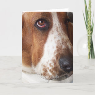 Tarjeta de felicitación Basset Hound Puppy