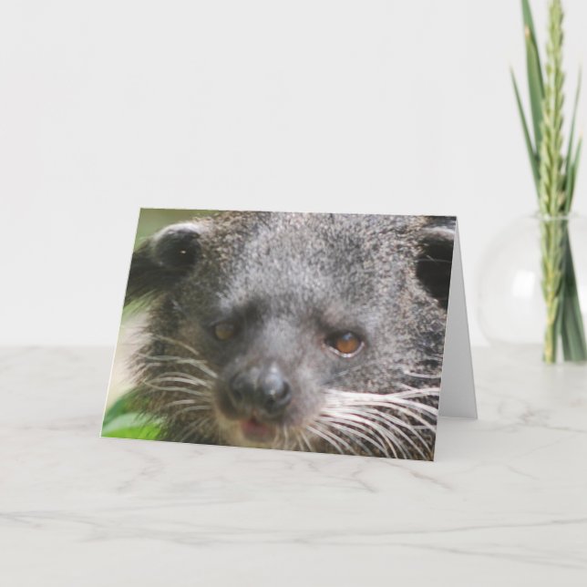 Tarjeta de felicitación Bearcat (Anverso)