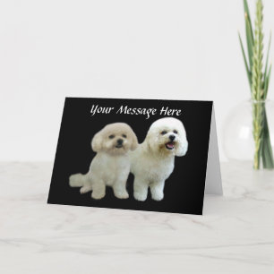 Tarjeta de felicitación Bichon Buddies
