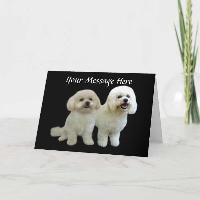 Tarjeta de felicitación Bichon Buddies (Anverso)