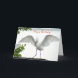 Tarjeta de felicitación Bird Happy Birday Sister<br><div class="desc">Esta 'Fotografía' está protegida por derechos de autor por mí, Christina Spiegeland. Esta fotografía NO se venderá en Amazon. Tarjeta de saludo con la frase "¡Feliz cumpleaños!, con una fotografía de una ave blanca que estira las alas". Dentro de la tarjeta dice "¡Feliz cumpleaños! ¡A la hermana mayor del mundo!"....</div>