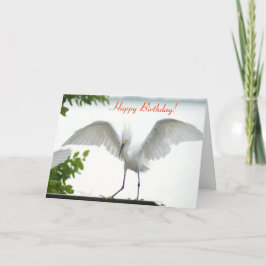 Tarjeta de felicitación Bird Happy Birday Sister