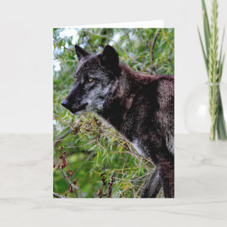 Tarjeta de felicitación Black Wolf