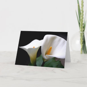 Tarjeta de felicitación blanca de la flor de la