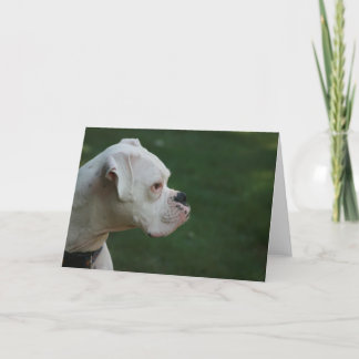 Tarjeta de felicitación blanca de la foto del
