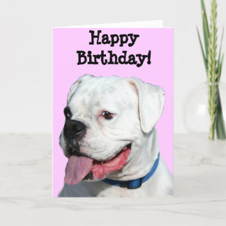Tarjeta de felicitación blanca del boxeador del