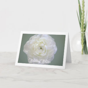 Tarjeta de felicitación blanca del ranúnculo