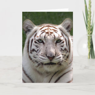 Tarjeta de felicitación blanca del tigre