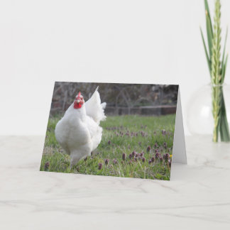 Tarjeta de felicitación blanca gorda de la gallina
