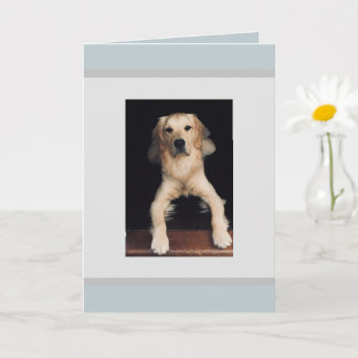 Tarjeta de felicitación Blank Golden Retriever.