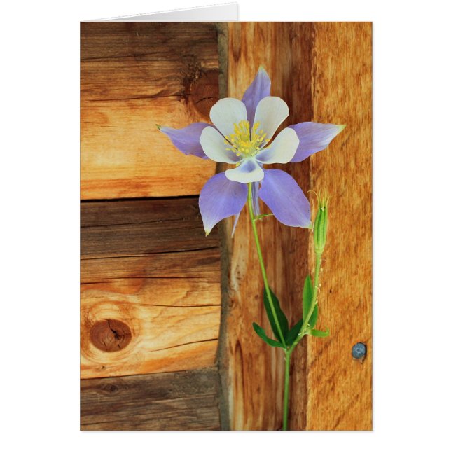 Tarjeta de felicitación Blue Columbine and Wood Al (Frente)